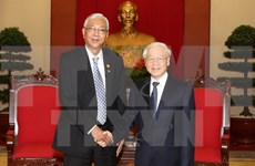 越共中央总书记阮富仲会见缅甸总统吴廷觉