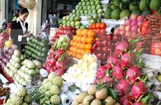 2016年越南蔬果出口额可达26亿美元