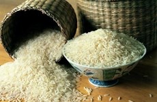 泰国为稻农推出10亿美元贷款计划