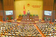 越南全国选民对国会讨论的问题给予大力关注