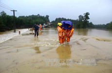 越南多地继续遭暴雨洪水袭击
