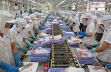 越南和欧亚经济联盟间的自由贸易协定生效  水产品出口商成大赢家 