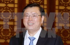 中国全国人大常委会委员长张德江对越南进行正式友好访问