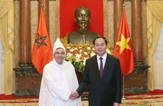 越南国家主席陈大光会见前来递交国书的各国新任驻越大使
