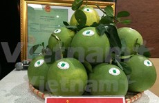 越南北部首次举办水果节