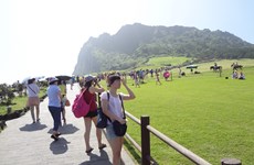 越南河内市重视开发韩国旅游市场