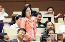越南第十届国会第二次会议：选民高度评价质询会的内容
