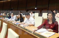 越南第十四届国会第二次会议通过《资产拍卖法》