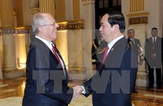 越南国家主席陈大光与秘鲁共和国总统佩德罗举行会谈