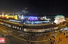“越韩巨型灯笼节”首次在河内举行（组图）