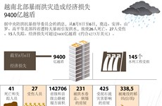 图表新闻：越南北部暴雨洪灾造成经济损失9400亿越盾