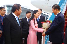 中共中央总书记、国家主席习近平抵达越南岘港国际机场  （组图）