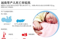 图表新闻：越南早产儿死亡率处于较高水平 