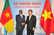 越南政府副总理兼外交部长范平明与喀麦隆对外关系部长姆贝拉•姆贝拉•勒热纳举行会谈（组图）