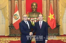 越南国家主席陈大光会见前来递交国书的6国新任驻越大使（组图）