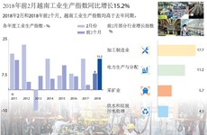 图表新闻：2018年前2月越南工业生产指数同比增长15.2%
