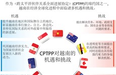 图表新闻：CPTPP对越南的机遇和挑战