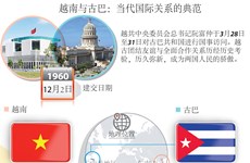 图表新闻：越南与古巴：当代国际关系的典范