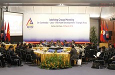 柬老越发展三角区合作技术工作组会议在河内召开（组图）