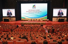 大湄公河次区域商务理事会扩大会议正式开幕（组图）