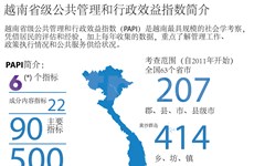 图表新闻：越南省级公共管理和行政效益指数简介