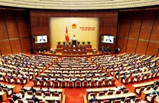 越南第十四届国会第五次会议开幕（组图）