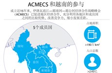 图表新闻：ACMECS 和越南的参与