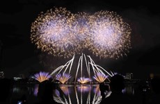 2018岘港国际烟花节总决赛：格外灿烂的夜空（组图）
