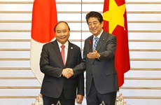 阮春福总理与日本首相安倍晋三举行会谈（组图）