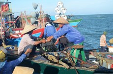 中国船只攻击越南渔船    越南渔业工会对此表示强烈反对
