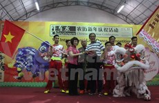 越南参加在新加坡举行的第九届狮王争霸赛