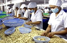 越南着力促进农产品贸易发展