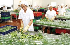 在加入TPP、AEC的背景下促进越南农产品出口