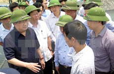 越南政府副总理郑廷勇莅临广平、广治两省考察鱼类死亡现象