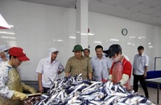 广治省资助渔民继续出海捕捞