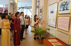 越南第十四届国会和各级人民议会代表选举专题展览会在多地举行