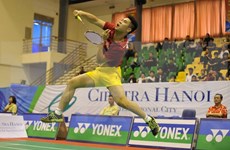 2016年河内Ciputra国际羽毛球锦标赛吸引324名运动员参赛