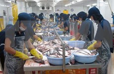 越南欢迎美国众议院通过取消对越南鲶鱼检验程序计划的决议