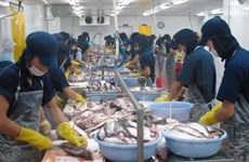 越南海产品出口质量未受到中部地区鱼类大批死亡现象的影响