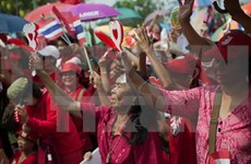 泰国“红衫军”开设新宪法公投监督中心