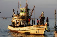 欧盟敦促泰国解决非法捕鱼问题