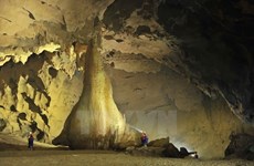 越南广平省在14个不同地区发现57个洞穴