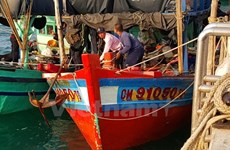 越南一直努力采取措施协助渔民坚持在越南传统渔场进行捕捞作业