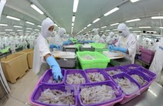 越南和美国就越南虾类产品反倾销问题达成协议