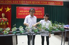 越南北江省青少年创新大赛获奖作品32个