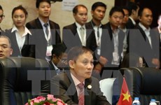 越南外交部副部长黎淮忠：越南积极开展东盟各项行动计划