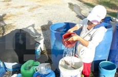 联合国儿童基金会会为越南旱灾和海水入侵灾害恢复工作提供资助