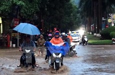 越南北部和北中部地区遭遇暴雨致至少7人死亡