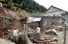 第三号台风致13人死亡和失踪