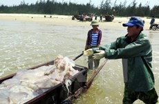 广义省向海上遇险渔民提供34亿多越盾的援助